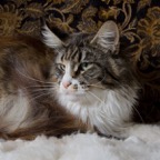 DSC_8726.jpg